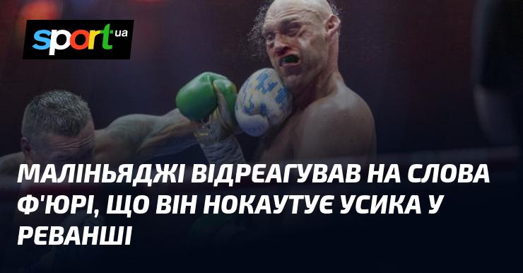 Маліньяджі прокоментував заяви Ф'юрі про те, що він планує нокаутувати Усика в реванші.