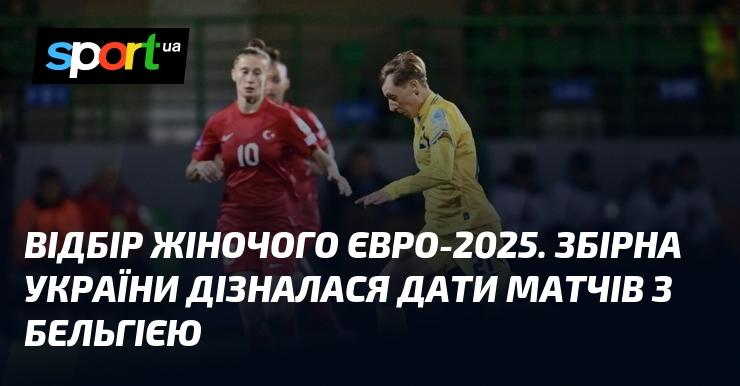 Відбірковий етап жіночого Євро-2025. Збірна України отримала інформацію про дати зустрічей з командою Бельгії.